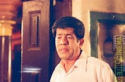 Director/Actor R.Sundarrajan Gallery - Gethu Cinema