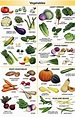 Vegetables Vocabulary in English - ESLBUZZ