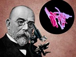 Un día como hoy 24 de marzo: Robert Koch descubre la bacteria de la ...