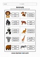Animal Worksheet For Kindergarten - Printable Kindergarten Worksheets