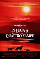 In fuga a quattro zampe (1993) | FilmTV.it