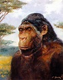 Paranthropus robustus - reconstruction by Zdenek Burian | Animales ...