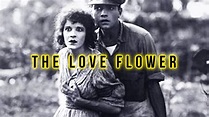 The Love Flower (1920) D.W. Griffith - Crime, Drama Silent Film - YouTube