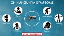 Chikungunya - Signs, Symptoms, Complications & Prevention - RxDx ...