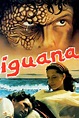 La Iguana (película 1988) - Tráiler. resumen, reparto y dónde ver ...