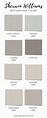 The Best Sherwin Williams Gray Paint Colors in 2021 (2023)