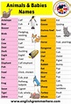 Baby Animal Names, Definition and Examples - English Grammar Here