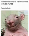 38 memes legais para alegrar o seu dia!