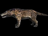 Andrewsarchus (Walking With Beasts) - YouTube