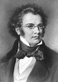 Franz Schubert Bio, Wiki 2017 - Musician Biographies