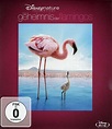 Das Geheimnis der Flamingos - 8717418247232 - Disney Blu-ray Database