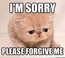 I'm sorry please forgive me and 10 more purrfect I'm sorry memes Funny ...