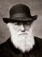 File:Charles Darwin 1880.jpg - Wikimedia Commons