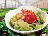 Sushi Hokkaido Sachi | 5 must-try dishes that made from Hanasaki crab ...