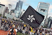 香港區旗成抗議標的 洋紫荊花染黑 - 國際 - 自由時報電子報