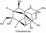 Tetrodotoxina • Compuesto de la semana • Quimicafacil.net