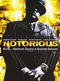 Notorious B.I.G. - Nenhum Sonho é Grande Demais - Filme 2009 - AdoroCinema