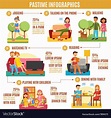 Pastime infographics diagram Royalty Free Vector Image