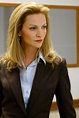The Movies Of Joan Allen | The Ace Black Movie Blog