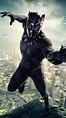 Black Panther Wallpapers - Top Free Black Panther Backgrounds ...