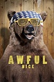 Awful Nice (2013) - Posters — The Movie Database (TMDB)