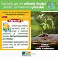 Dia Mundial do Meio Ambiente foi marcado por conscientização online na ...