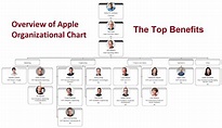 Umfassende Analyse des Apple-Organigramms
