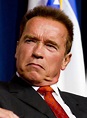 File:Arnold Schwarzenegger 2, 2012.jpg - Wikipedia