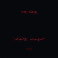 Infinite Moment - Album by The Field | Spotify