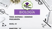 BIOTAXIA - DOMINIO PROCARIOTA - BIOLOGÍA - NIVEL IV - SECUNDARIA - YouTube