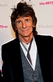 Ronnie Wood to front new TV show | London Evening Standard | Evening ...