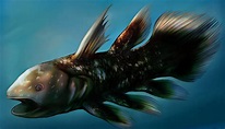 'Extinct Fossil Fish' That Existed Before Dinosaurs Over 420 Million ...