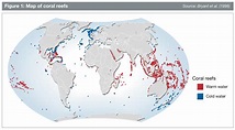 What are coral reefs? - geographyalltheway.com