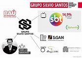 Grupo Silvio Santos | Media Ownership Monitor