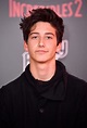 Milo Manheim - The Hollywood Gossip