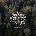 Bible Verse Images for: Trees