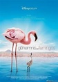 Das Geheimnis der Flamingos | Film 2008 - Kritik - Trailer - News ...