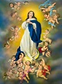 Immaculate Conception Print - Catholic to the Max - Online Catholic Store