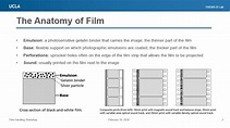 Film Bases — Film Properties Training - Information Studies Library ...