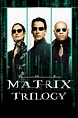 The Matrix Collection - Posters — The Movie Database (TMDB)