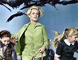 Filme Os Pássaros Online Dublado - Ano de 1963 | Filmes Online Dublado