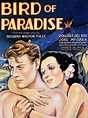 Bird of Paradise - Movie Reviews