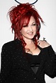 Cyndi Lauper Picture 63 - 2014 Pre-Grammy Gala and Grammy Salute to ...