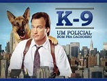 K-9 Um policial Bom pra Cachorro Rede Record - YouTube
