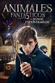 Animales fantásticos y dónde encontrarlos (2016) - Pósteres — The Movie ...