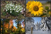 Die vier Jahreszeiten Foto & Bild | jahreszeiten, diverses, natur ...
