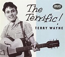 Terry Wayne - The Terrific! Terry Wayne (2008, CD) | Discogs
