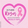Octubre Rosa mes de la lucha contra el cancer de mama is October breast ...