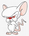 Pinky And The Brain Brain Png, Transparent Png - kindpng