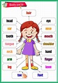 Body Parts Chart For Kids